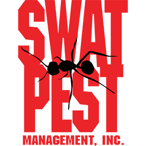 Swat Pest Logo