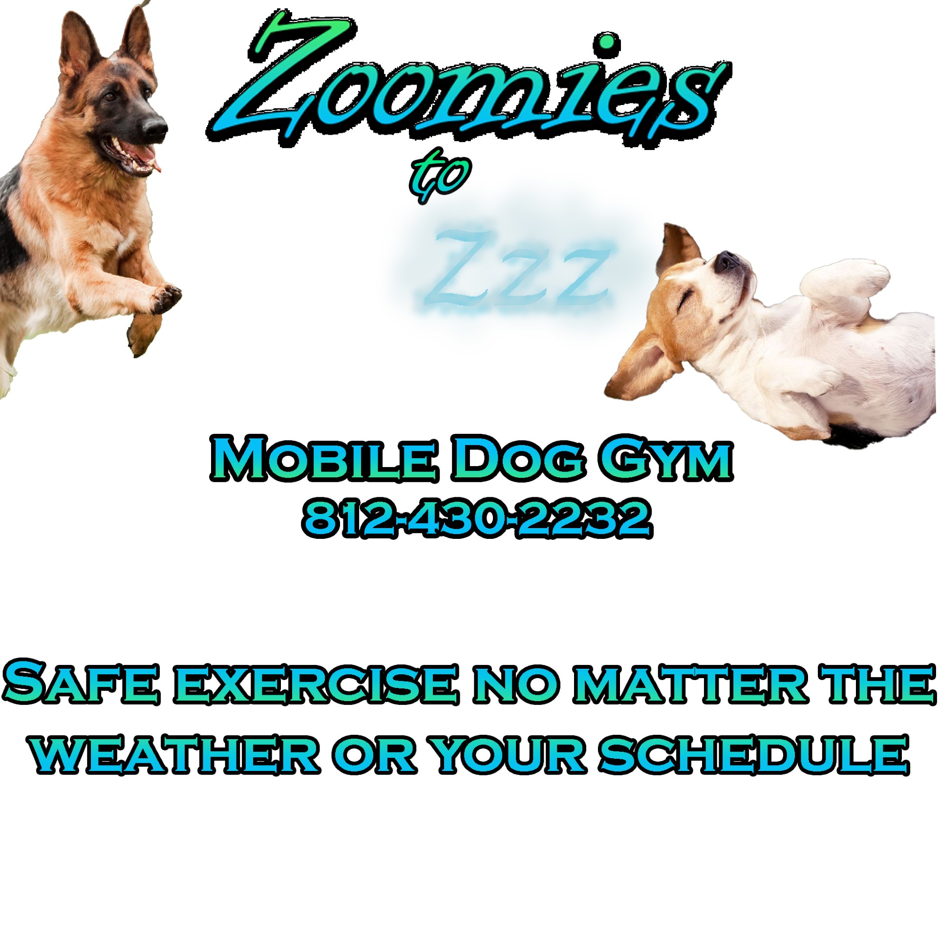 Zoomies to ZZZ Logo